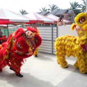 TN-CNY-2015---4